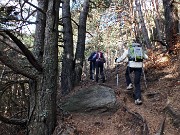 09 Sentiero in pineta di pini cembri